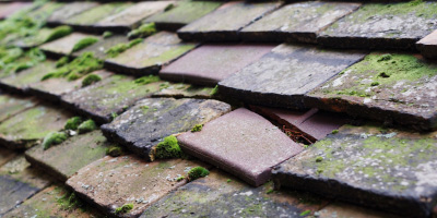 Lolworth roof repair costs